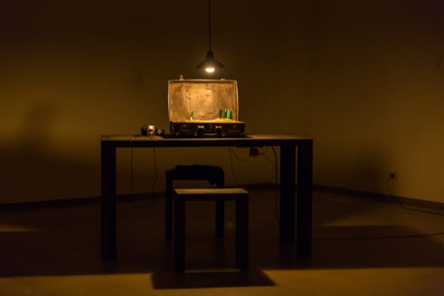 The almost unhearable sound of the roses singing - Belgium 2017